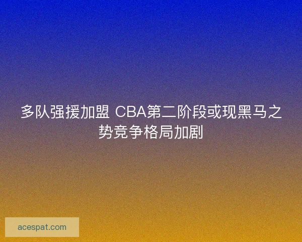 多队强援加盟 CBA第二阶段或现黑马之势竞争格局加剧