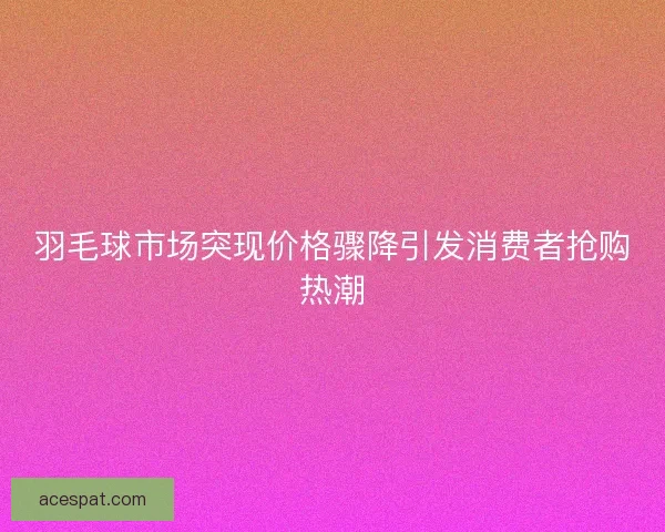 羽毛球市场突现价格骤降引发消费者抢购热潮