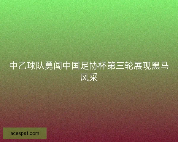 中乙球队勇闯中国足协杯第三轮展现黑马风采 中乙球队勇闯中国足协杯第三轮展现黑马风采